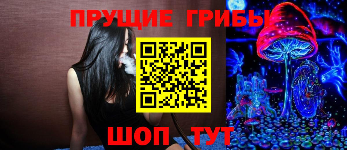 Первоуральск  Галлюциногенные грибы Psilocybe  Вход с VPN 